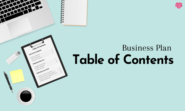 Business Plan Table of Contents Example